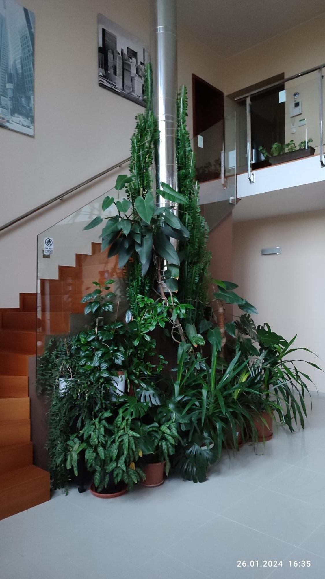 Villa Homestay Nad Helmrovkou Praga Zewnętrze zdjęcie